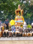 Phuket Elephant Shrine 2.JPG (92 KB)